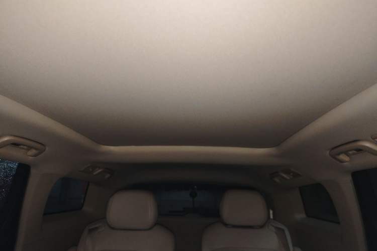 Used Wuling Victory 2020 1.5T CVT Flagship Edition Headliner