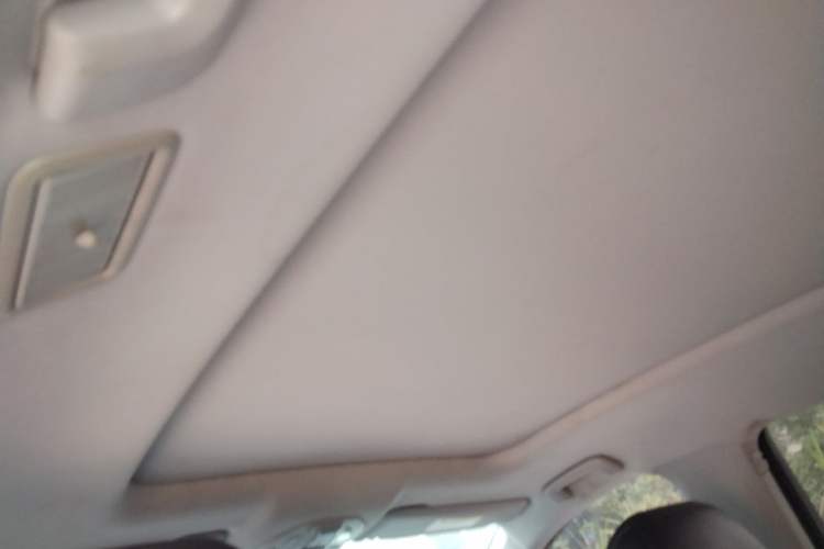Used Wuling Victory 2020 1.5T CVT Flagship Edition Headliner