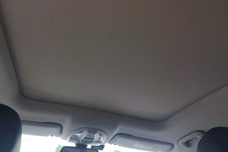 Used Wuling Victory 2020 1.5T CVT Flagship Edition Headliner