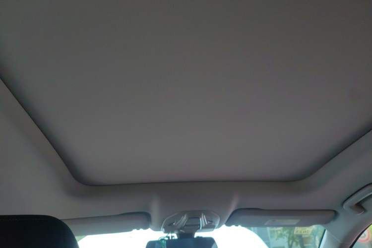 Used Wuling Victory 2020 1.5T CVT Flagship Edition Headliner