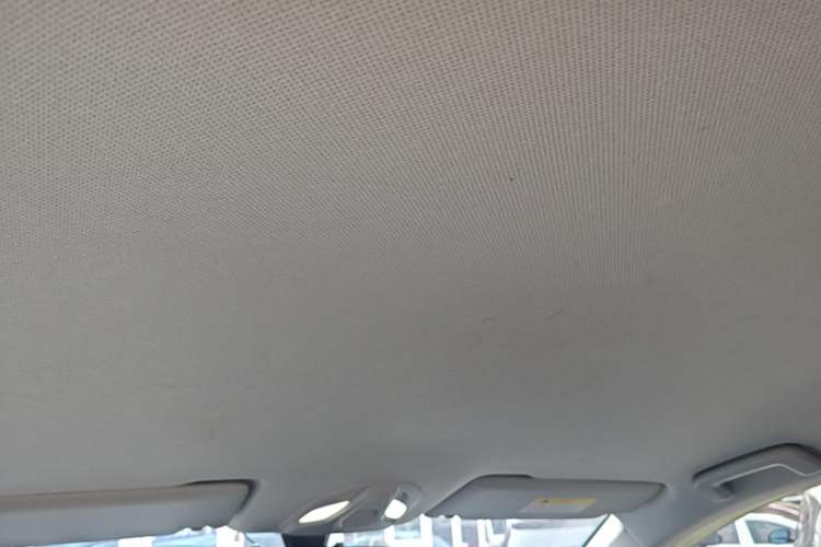 Used Wuling Victory 2020 1.5T Manual Elite Edition Headliner