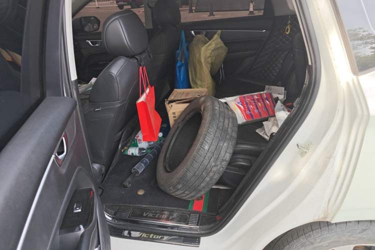 Used Wuling Victory 2020 1.5T CVT Flagship Edition Left Rear Seat
