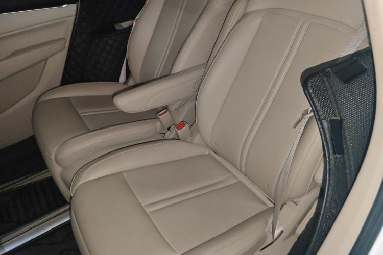 Used Wuling Victory 2020 1.5T CVT Flagship Edition Left Rear Seat