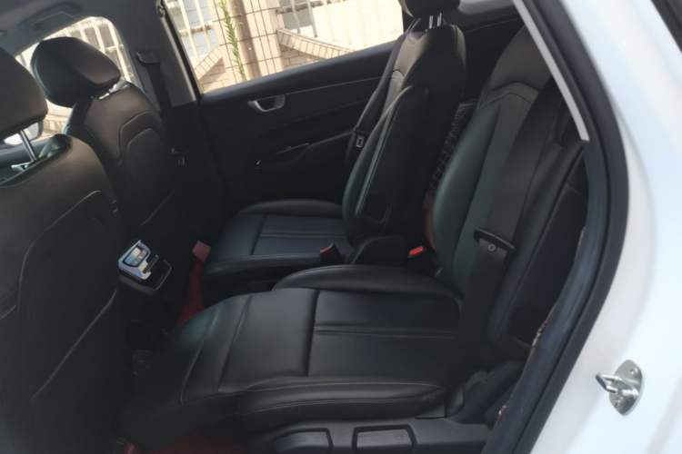 Used Wuling Victory 2020 1.5T CVT Flagship Edition Left Rear Seat