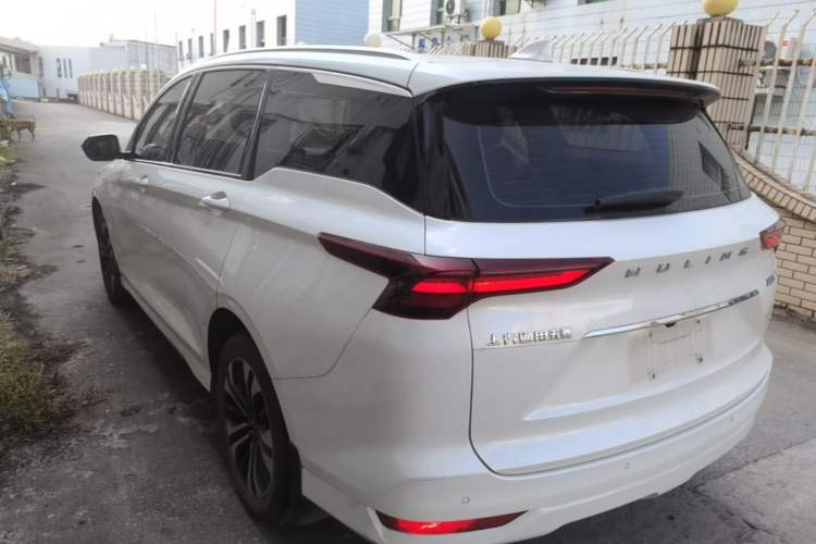 Used Wuling Victory 2020 1.5T CVT Flagship Edition Rear Left 45 Deg