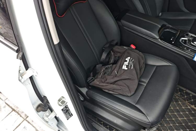 Used Wuling Victory 2020 1.5T CVT Flagship Edition Right Front Seat