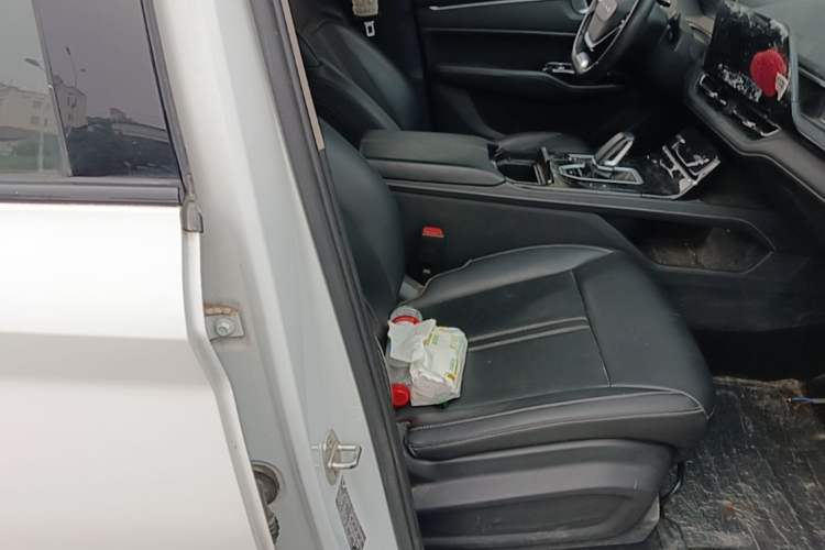 Used Wuling Victory 2020 1.5T CVT Flagship Edition Right Front Seat