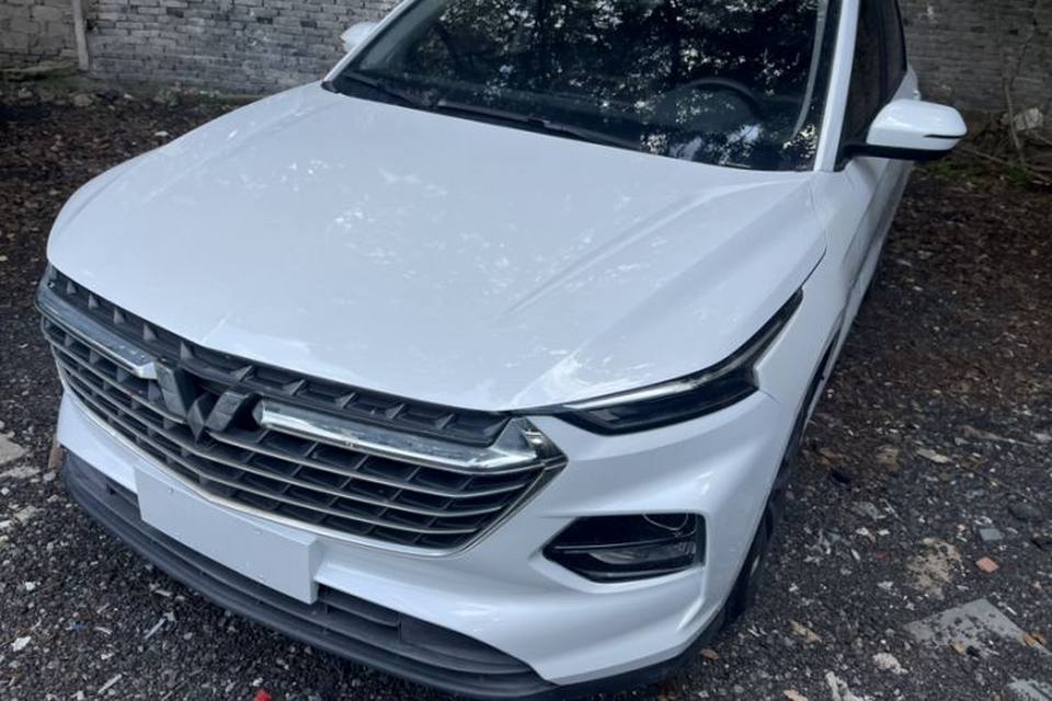 Wuling Victory 2022