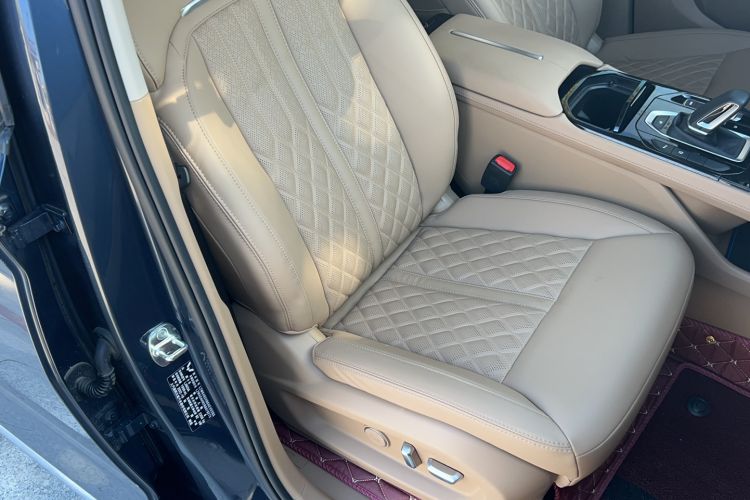 Used Wuling Victory 2023 2.0L DHT Luxury Edition Right Front Seat