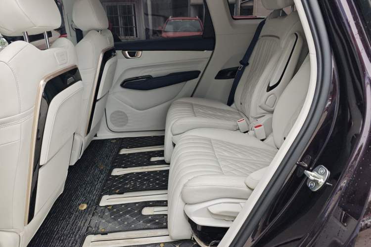 Used Wuling Victory 2023 2.0L DHT Luxury Edition Interior 4