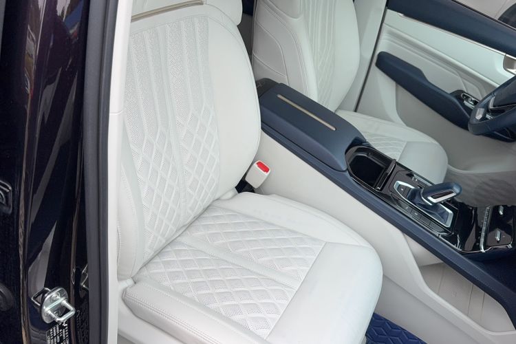 Used Wuling Victory 2023 2.0L DHT Luxury Edition Right Front Seat