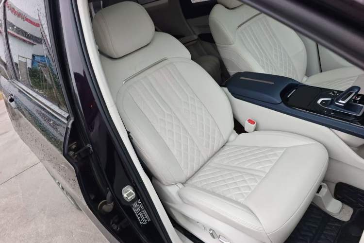 Used Wuling Victory 2023 2.0L DHT Luxury Edition Right Front Seat