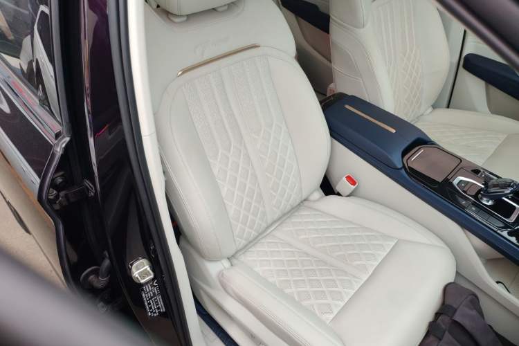 Used Wuling Victory 2023 2.0L DHT Luxury Edition Right Front Seat