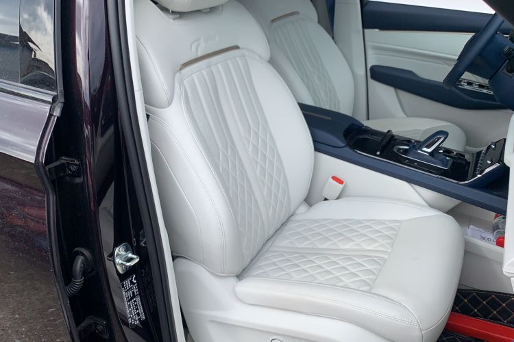 Used Wuling Victory 2023 2.0L DHT Luxury Edition Right Front Seat