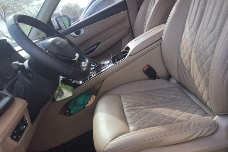 Used Wuling Victory 2023 2.0L DHT Luxury Edition Left Front Seat
