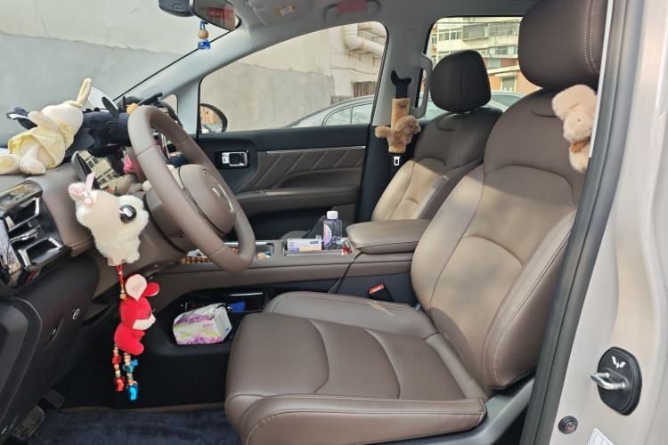 Used Wuling Starlight 730 2025 Model Plug-in Hybrid 125km Luxury Edition Left Front Seat