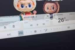 Thumbnail 16