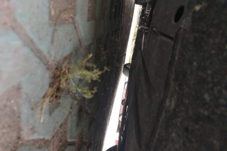 Used Wuling Xingguang 2023 150 Advanced Edition Chassis Front Left