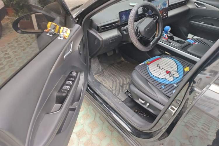 Used Wuling Xingguang 2023 150 Advanced Edition Driver Seat