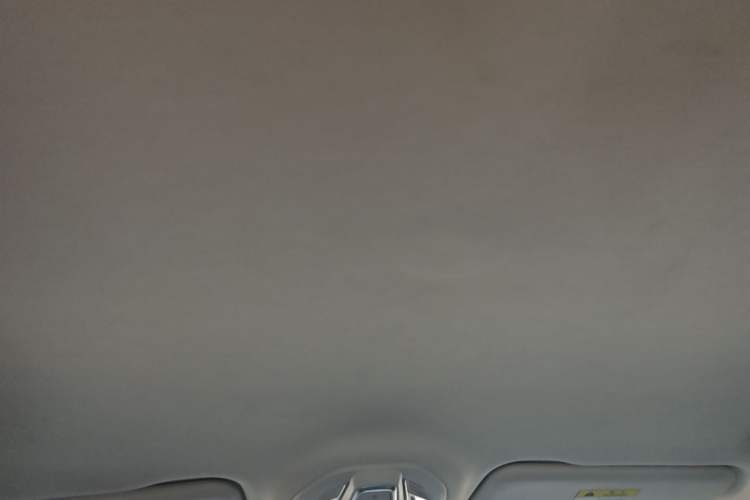 Used Wuling Xingguang 2023 150 Advanced Edition Headliner
