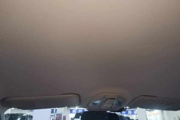 Used Wuling Xingguang 2023 150 Advanced Edition Headliner