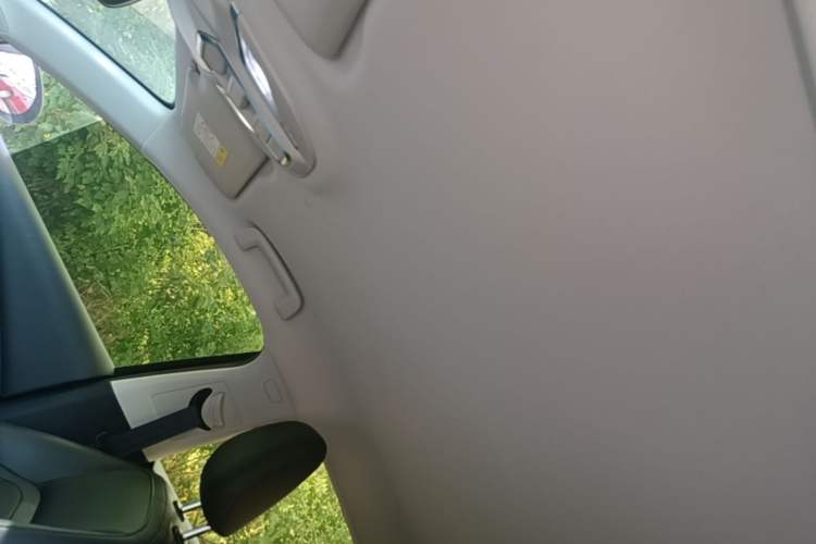 Used Wuling Xingguang 2023 70 Standard Edition Headliner
