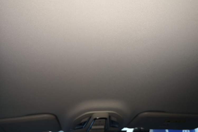 Used Wuling Xingguang 2023 150 Advanced Edition Headliner