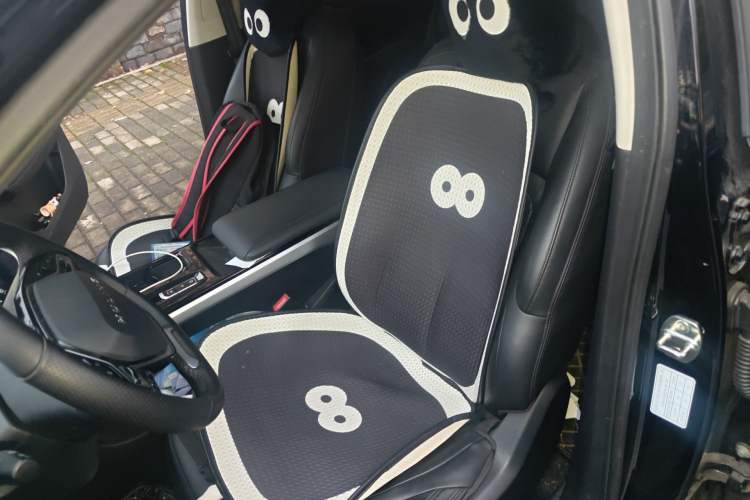 Used Wuling Xingguang 2023 150 Advanced Edition Left Front Seat
