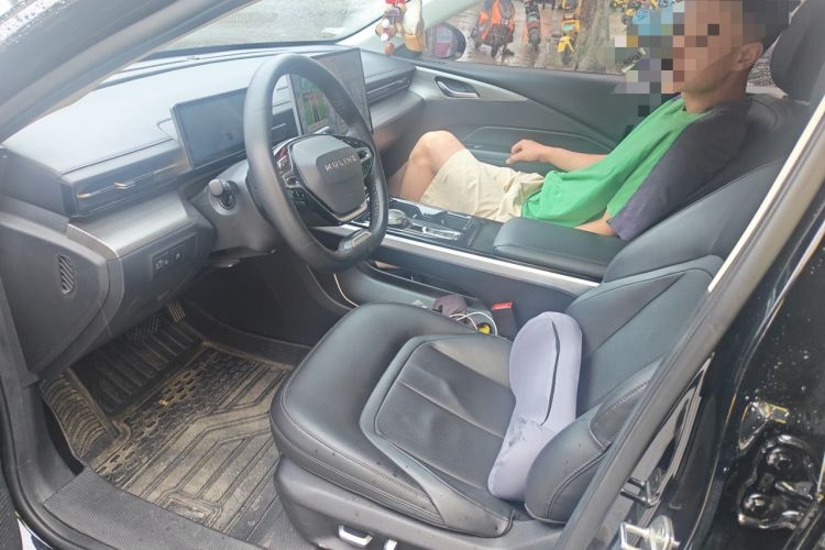 Used Wuling Xingguang 2023 150 Advanced Edition Left Front Seat