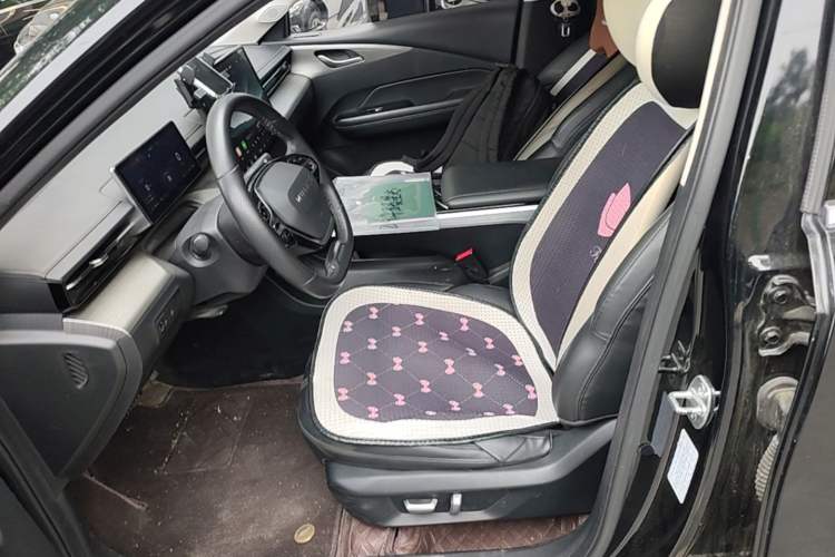 Used Wuling Xingguang 2023 150 Advanced Edition Left Front Seat