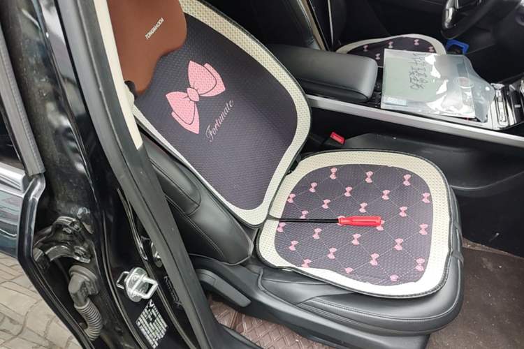 Used Wuling Xingguang 2023 150 Advanced Edition Right Front Seat