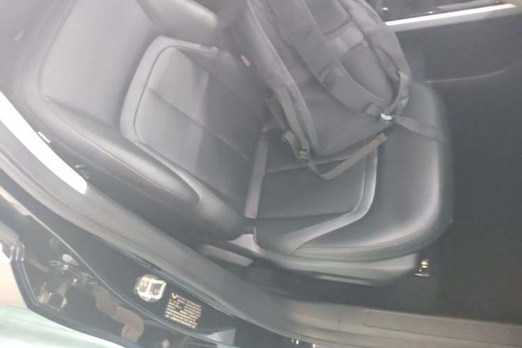 Used Wuling Xingguang 2023 150 Advanced Edition Right Front Seat