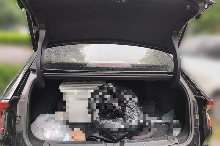 Used Wuling Xingguang 2023 150 Advanced Edition Trunk