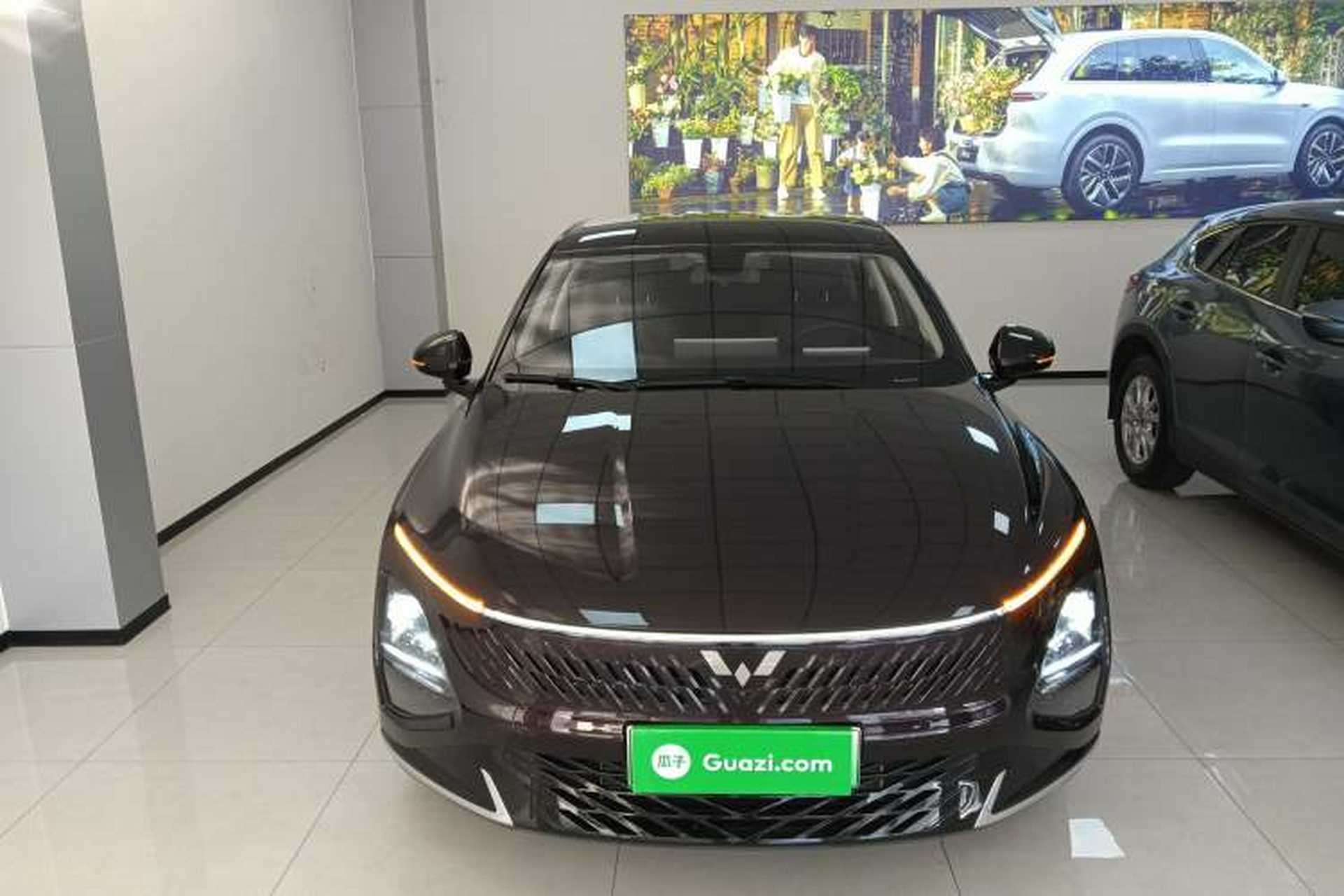 Used Wuling Xingguang 2023 150 Advanced Edition Exterior 1