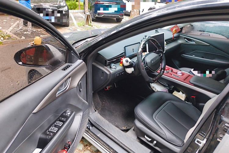 Used Wuling Xingguang 2023 150 Advanced Edition Driver Seat