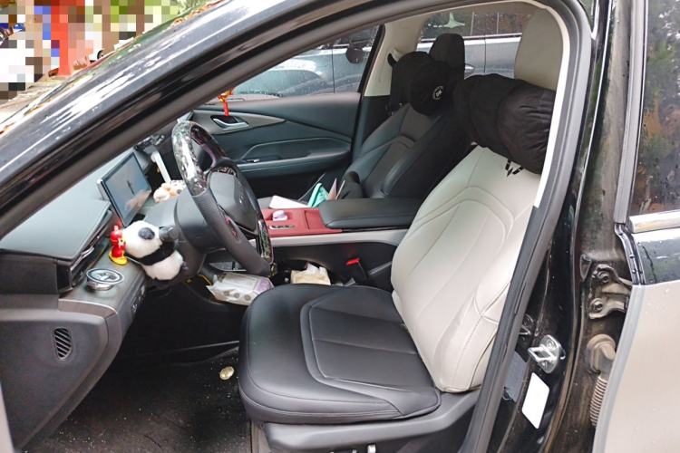 Used Wuling Xingguang 2023 150 Advanced Edition Left Front Seat