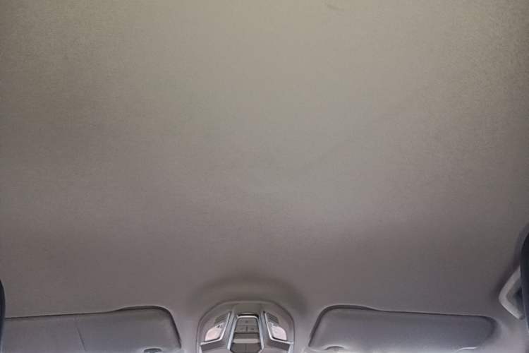 Used Wuling Xingguang 2023 150 Advanced Edition Headliner
