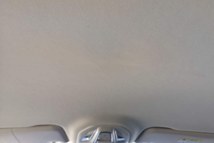 Used Wuling Xingguang 2023 150 Advanced Edition Headliner