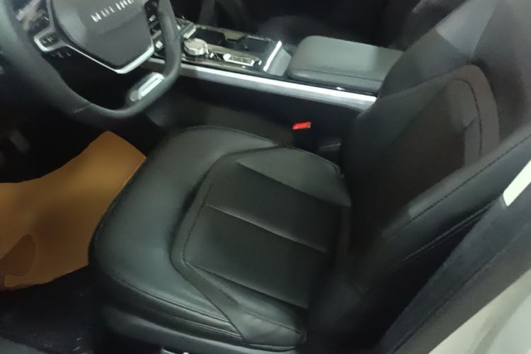 Used Wuling Xingguang 2023 150 Advanced Edition Left Front Seat