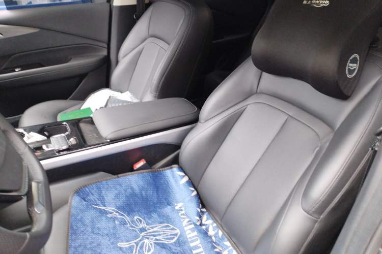 Used Wuling Xingguang 2023 150 Advanced Edition Left Front Seat