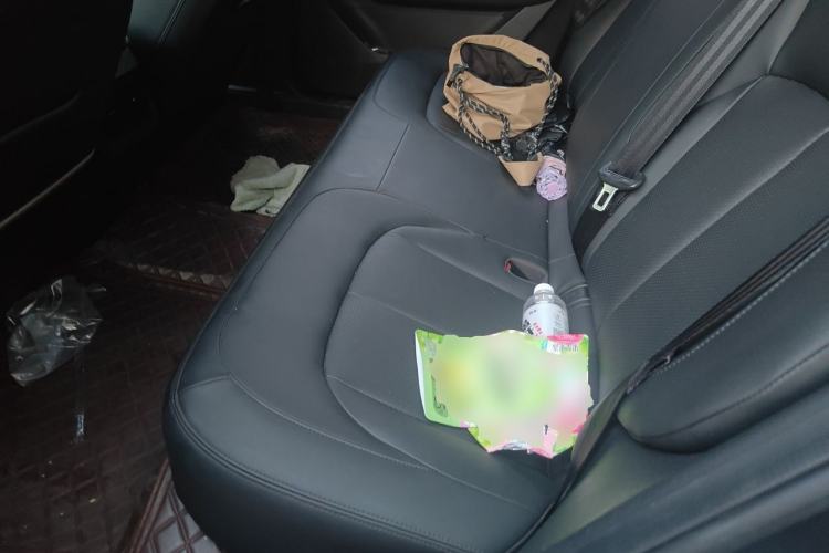 Used Wuling Xingguang 2023 150 Advanced Edition Left Rear Seat