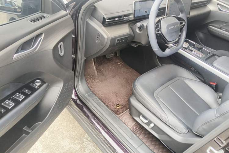 Used Wuling Xingguang 2023 150 Advanced Edition Driver Seat