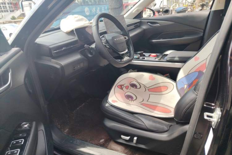 Used Wuling Xingguang 2023 150 Advanced Edition Driver Seat