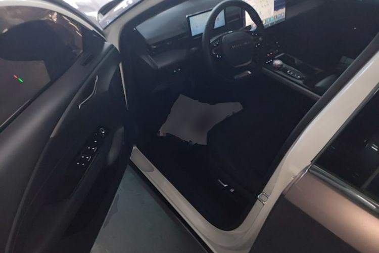 Used Wuling Xingguang 2023 150 Advanced Edition Driver Seat