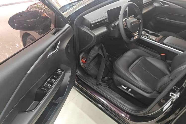 Used Wuling Xingguang 2023 150 Advanced Edition Driver Seat