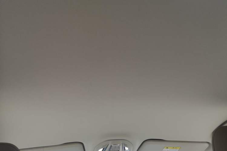 Used Wuling Xingguang 2023 150 Advanced Edition Headliner