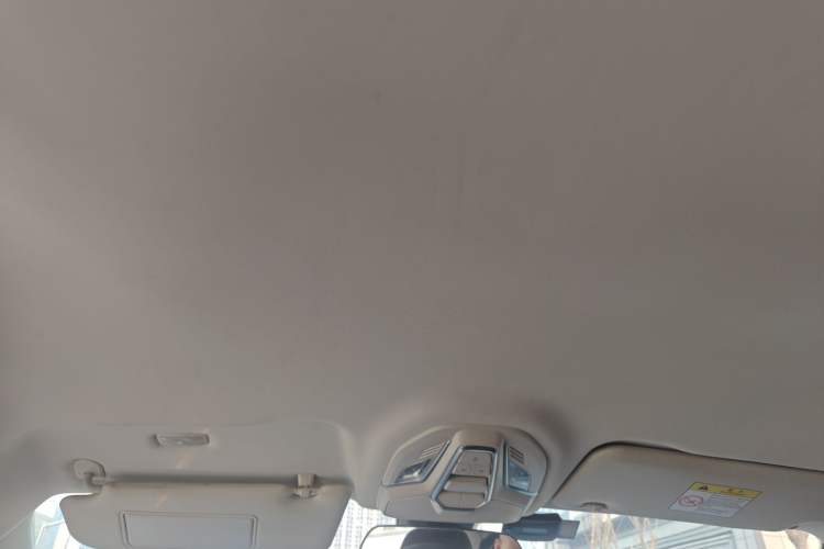 Used Wuling Xingguang 2023 150 Advanced Edition Headliner