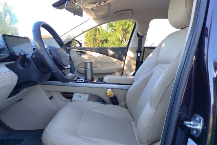 Used Wuling Xingguang 2023 150 Advanced Edition Left Front Seat