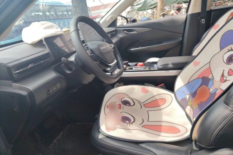 Used Wuling Xingguang 2023 150 Advanced Edition Left Front Seat