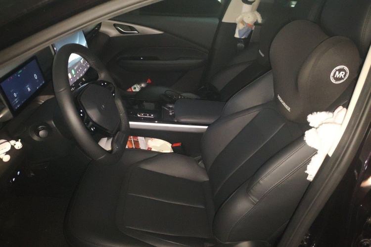 Used Wuling Xingguang 2023 150 Advanced Edition Left Front Seat